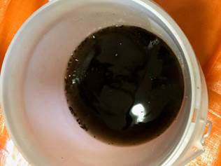 �����񍐎ʐ^